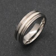 Titanium Ring - Silver Mycerinus